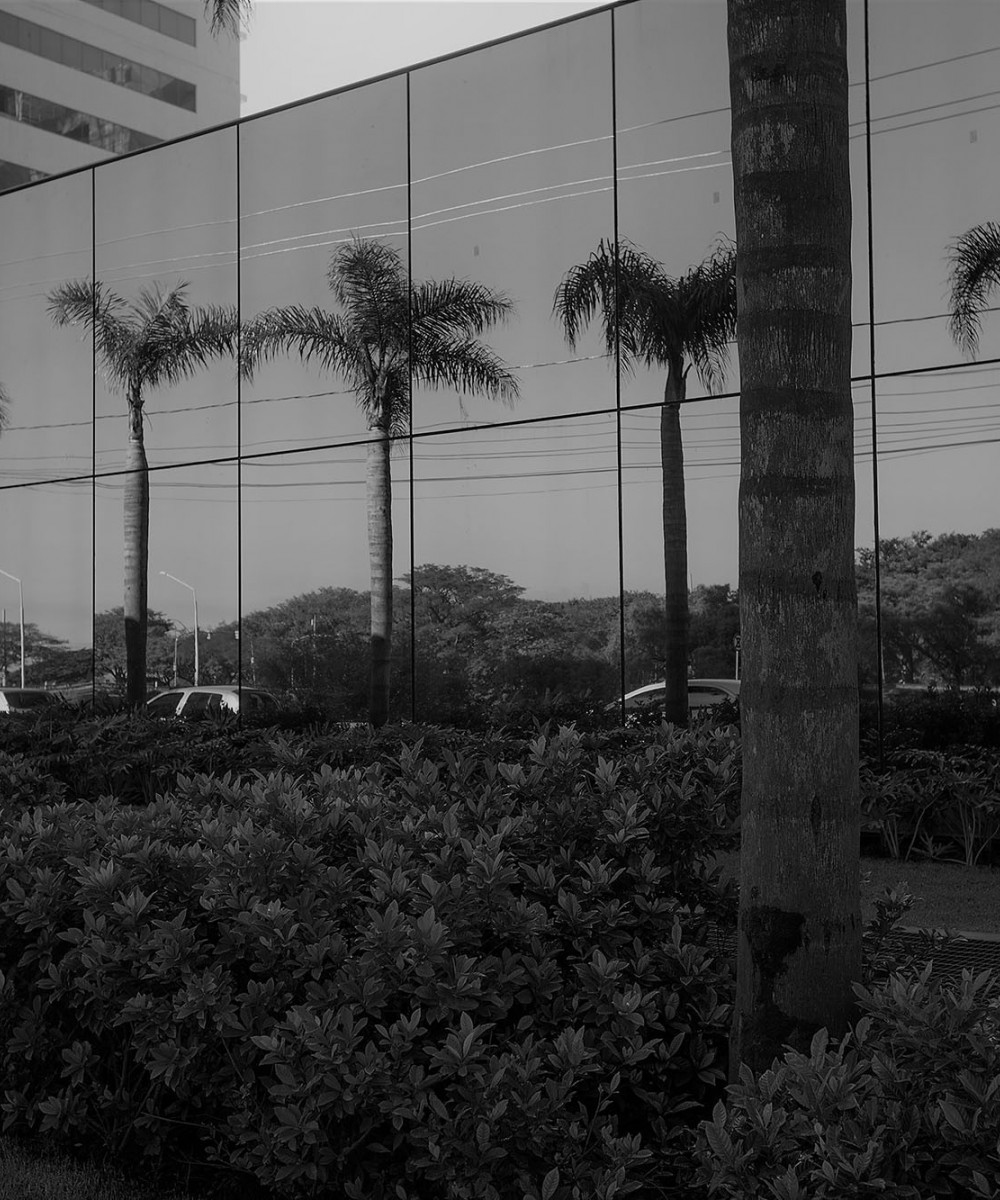 REPRESENTAÇÃO INSTITUCIONAL (LOBBY) - Nossa atuação está pautada na solução dos problemas apresentados a partir de um atendimento personalizado e do conhecimento especializado da equipe, assim como na experiência pública e privada que envolvem as várias áreas do Direito Administrativo.