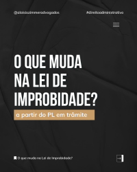 Conte&uacute;do - Nossa atua&ccedil;&atilde;o est&aacute; pautada na solu&ccedil;&atilde;o dos problemas apresentados a partir de um atendimento personalizado e do conhecimento especializado da equipe, assim como na experi&ecirc;ncia p&uacute;blica e privada que envolvem as v&aacute;rias &aacute;reas do Direito Administrativo.
